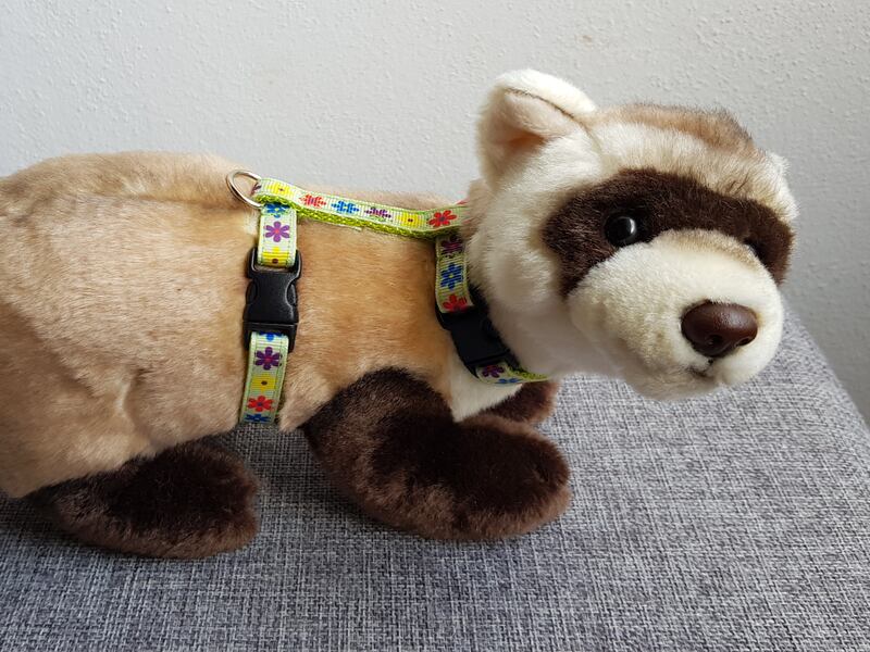 Postrojek- barevné kytičky na světle zelené