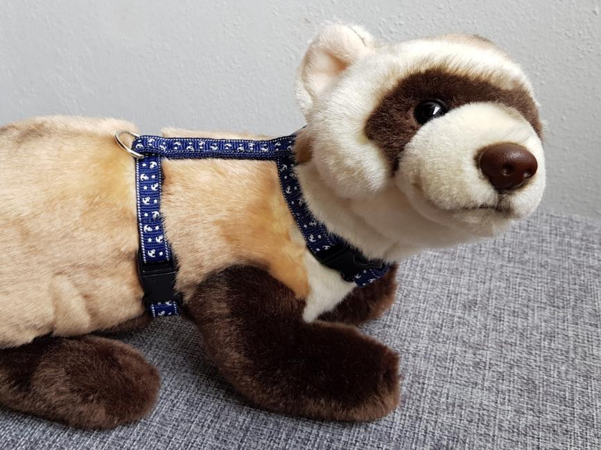 Postrojek- kotvičky na tmavě modré