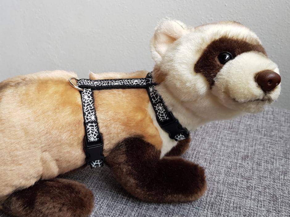 Postrojek- pavučina na černé