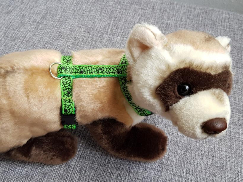 Postrojek- pavučina na zelené