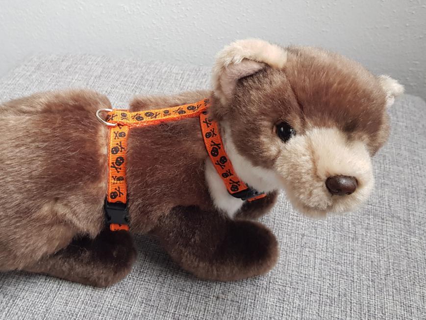 Postrojek- lebky na oranžové